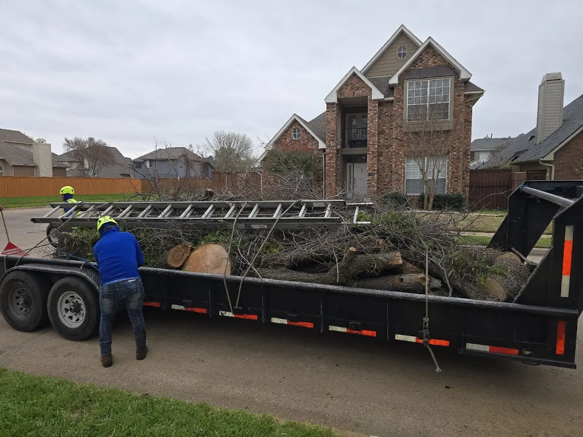 Expert Tree Fertilization with proper safety equipment in Finleyville